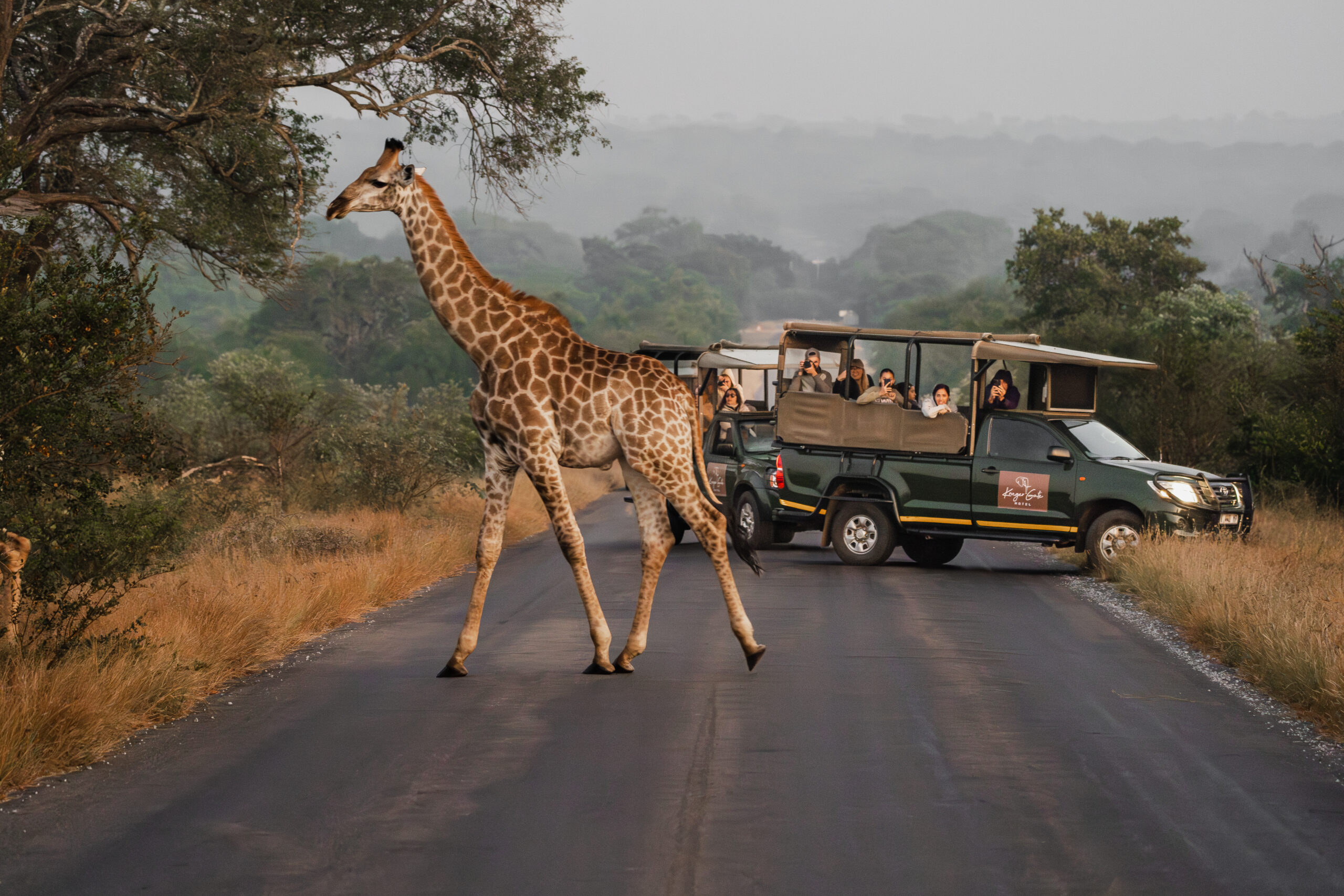 Bluu rental vehicle at Kruger Gate Hotel