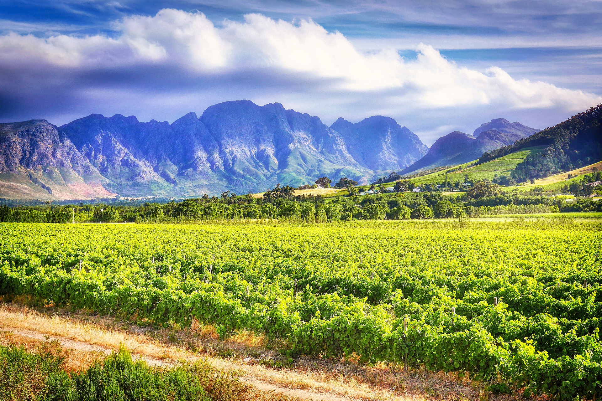 Car rental in Stellenbosch